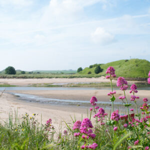 Church Hill Alnmouth UK