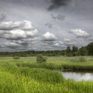 Darks Skies Over Marshy Grassland