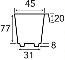 seedling-pot-measurements