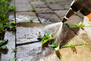 a homeowner spraying natural herbicides onto patio weeds