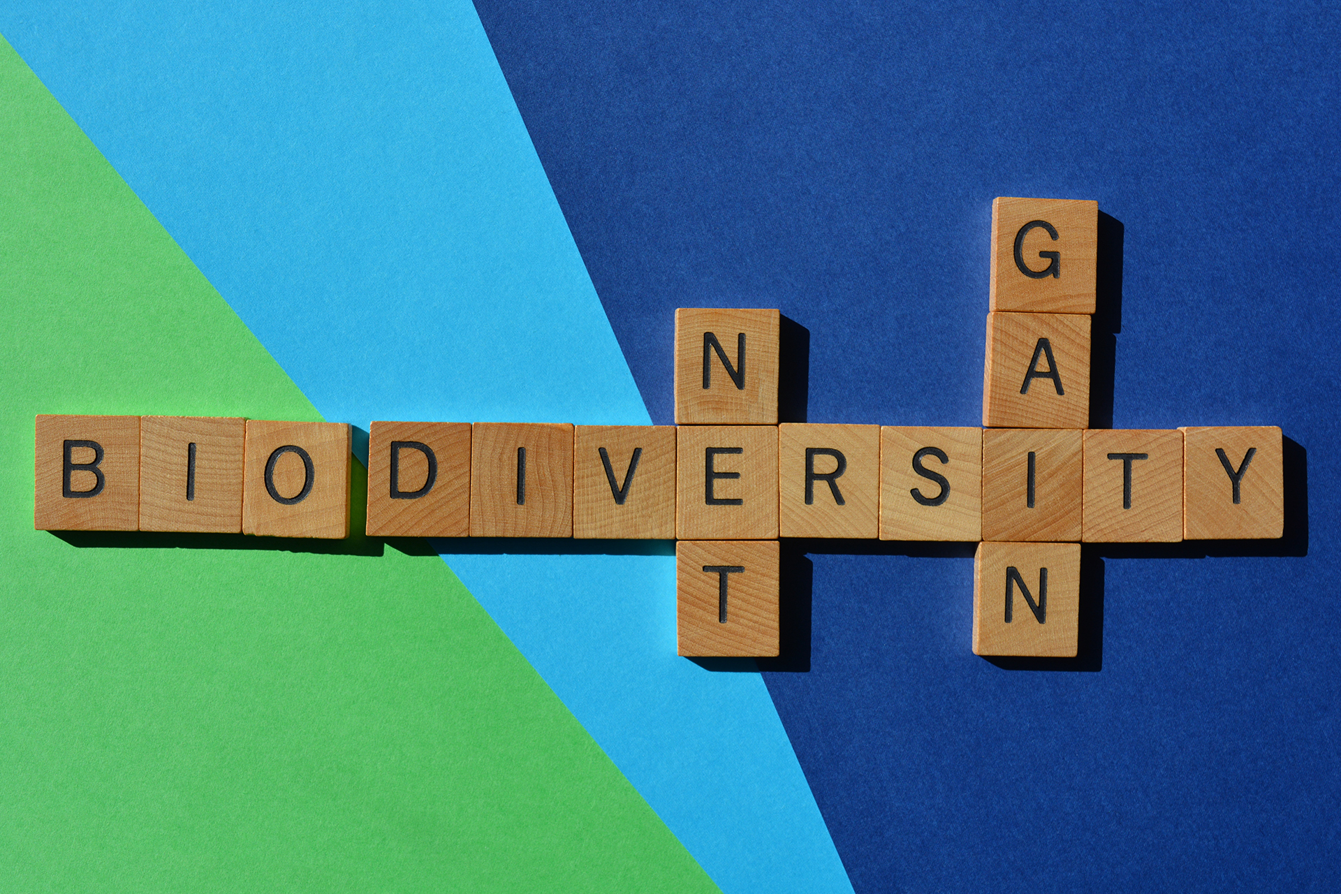 biodiversity net gain metric spelled out in wooden tiles